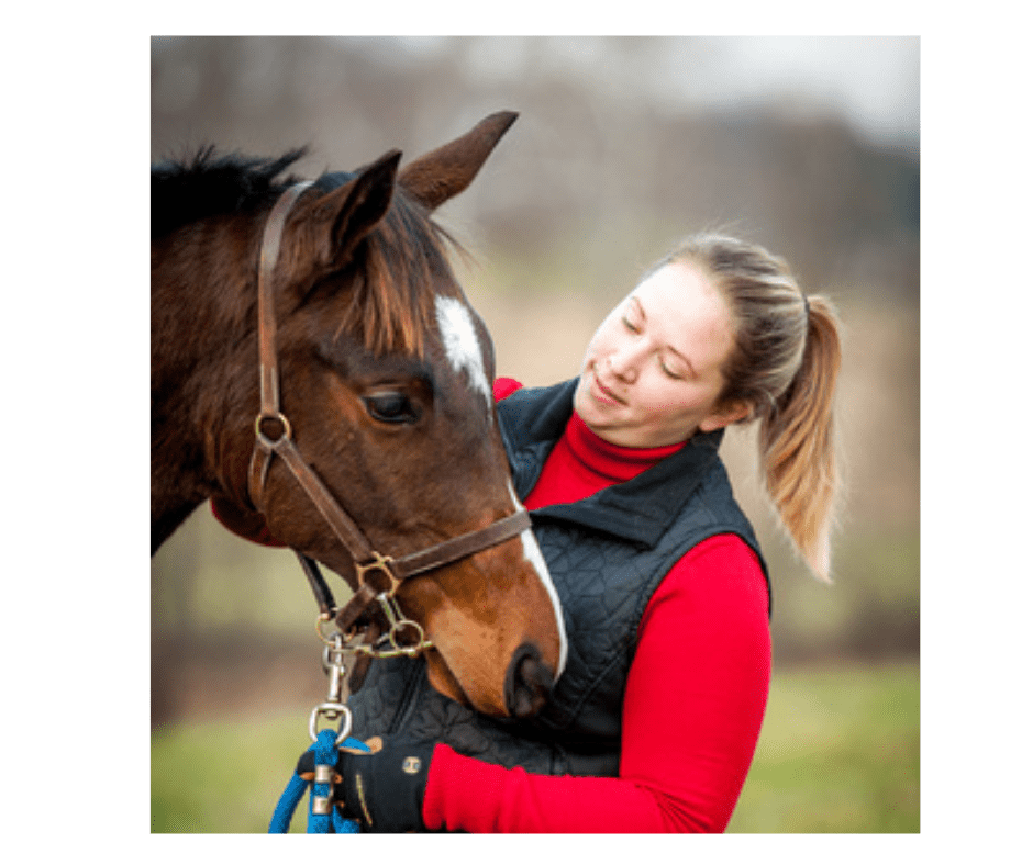 horse-resources-university-of-maryland-extension